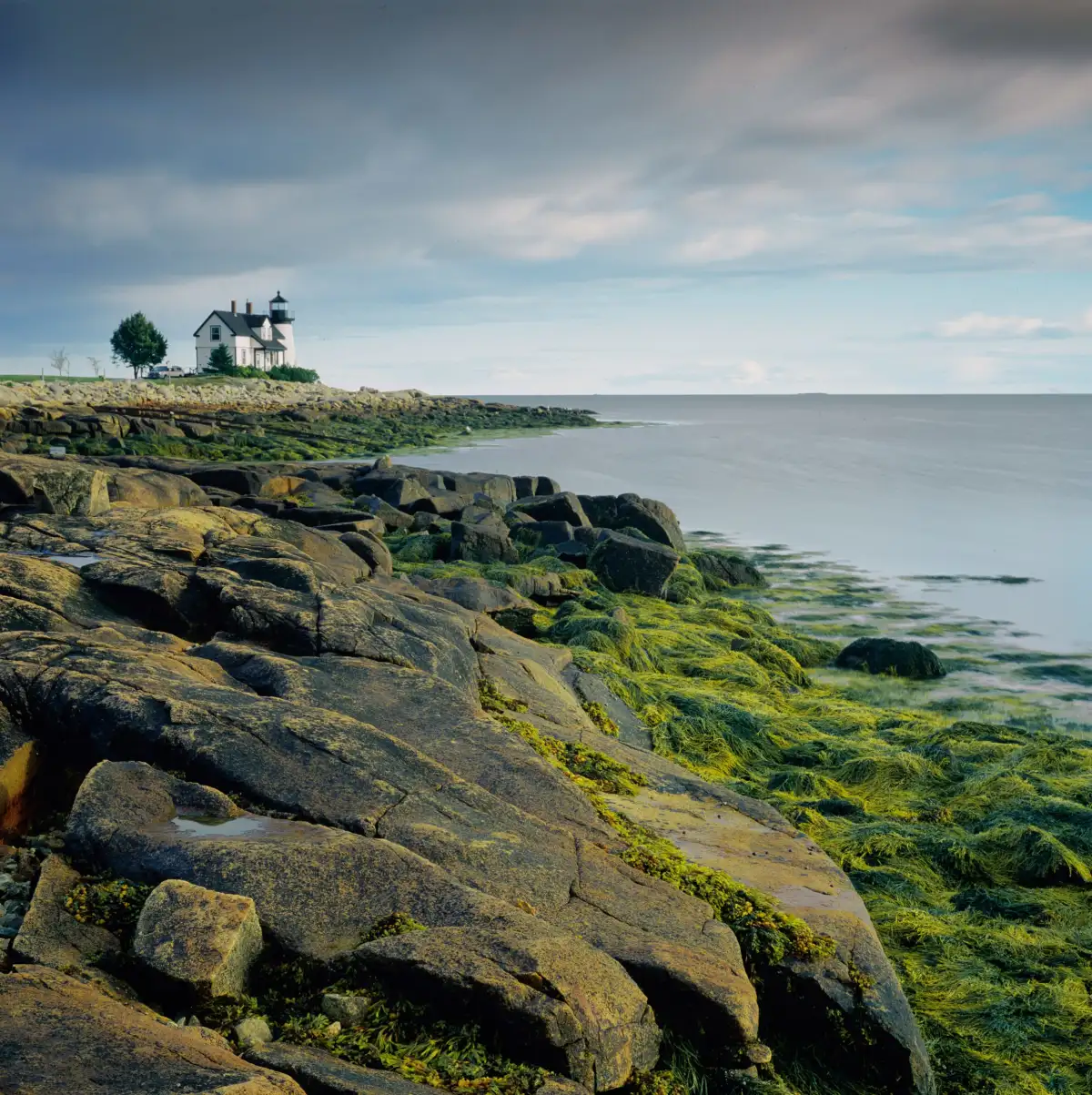 Prospect Light I Wall Art - Image 9