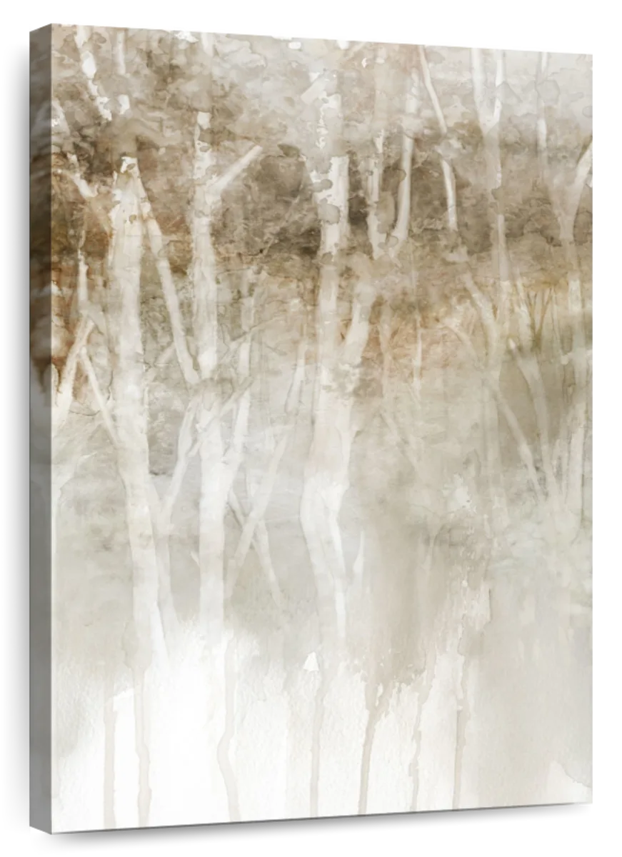 Rainy Forest Birch Wall Art