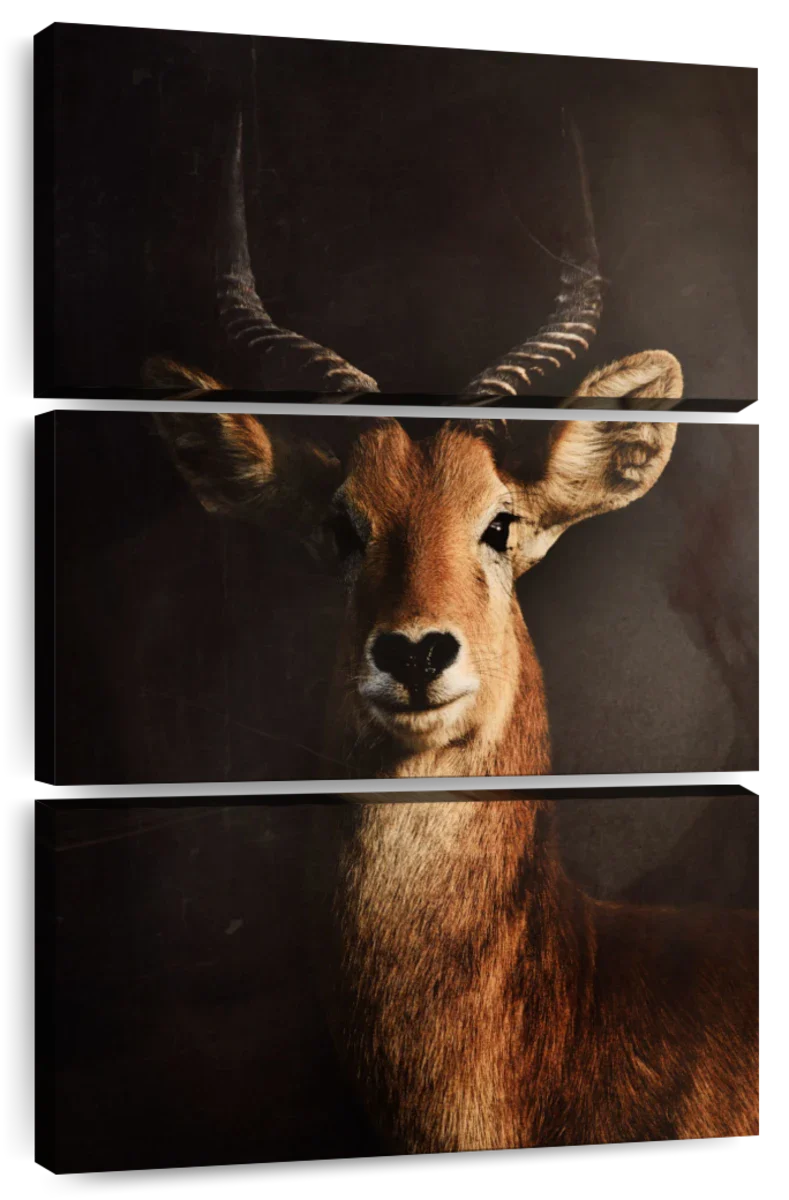 Red Lechwe Wall Art - Image 8