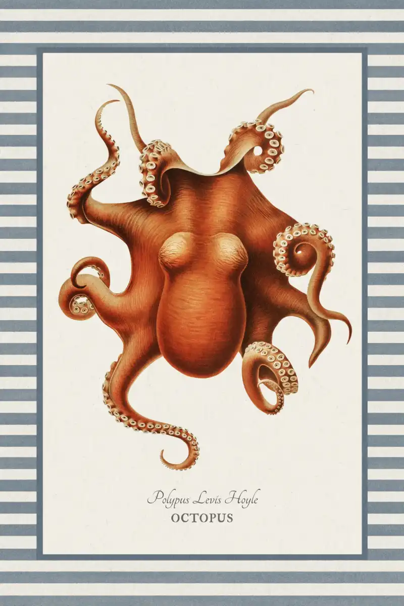 Red Octopus Reinterpreted Wall Art - Image 13