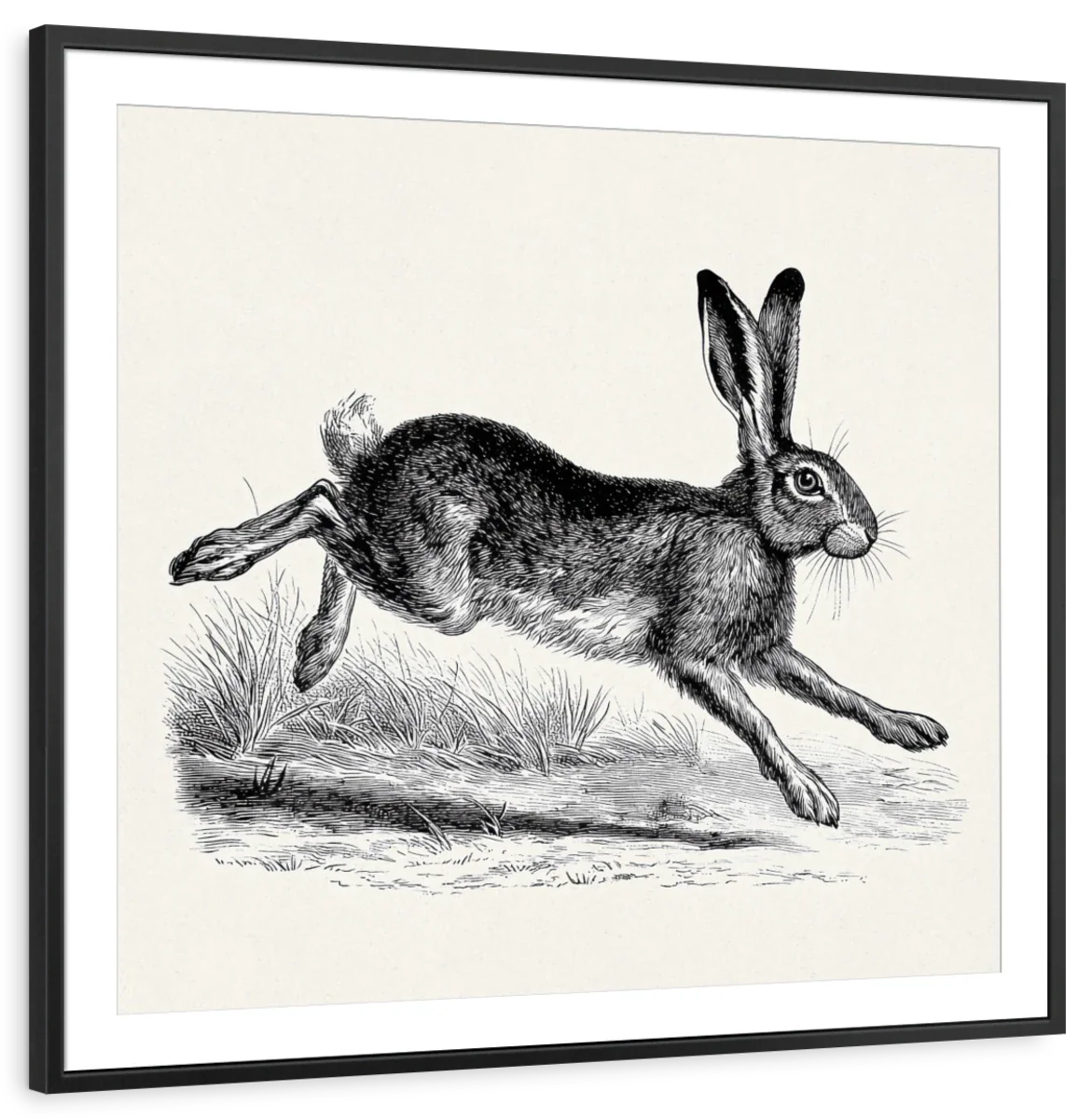 Running Hare Engraving Print Wall Art - Image 10