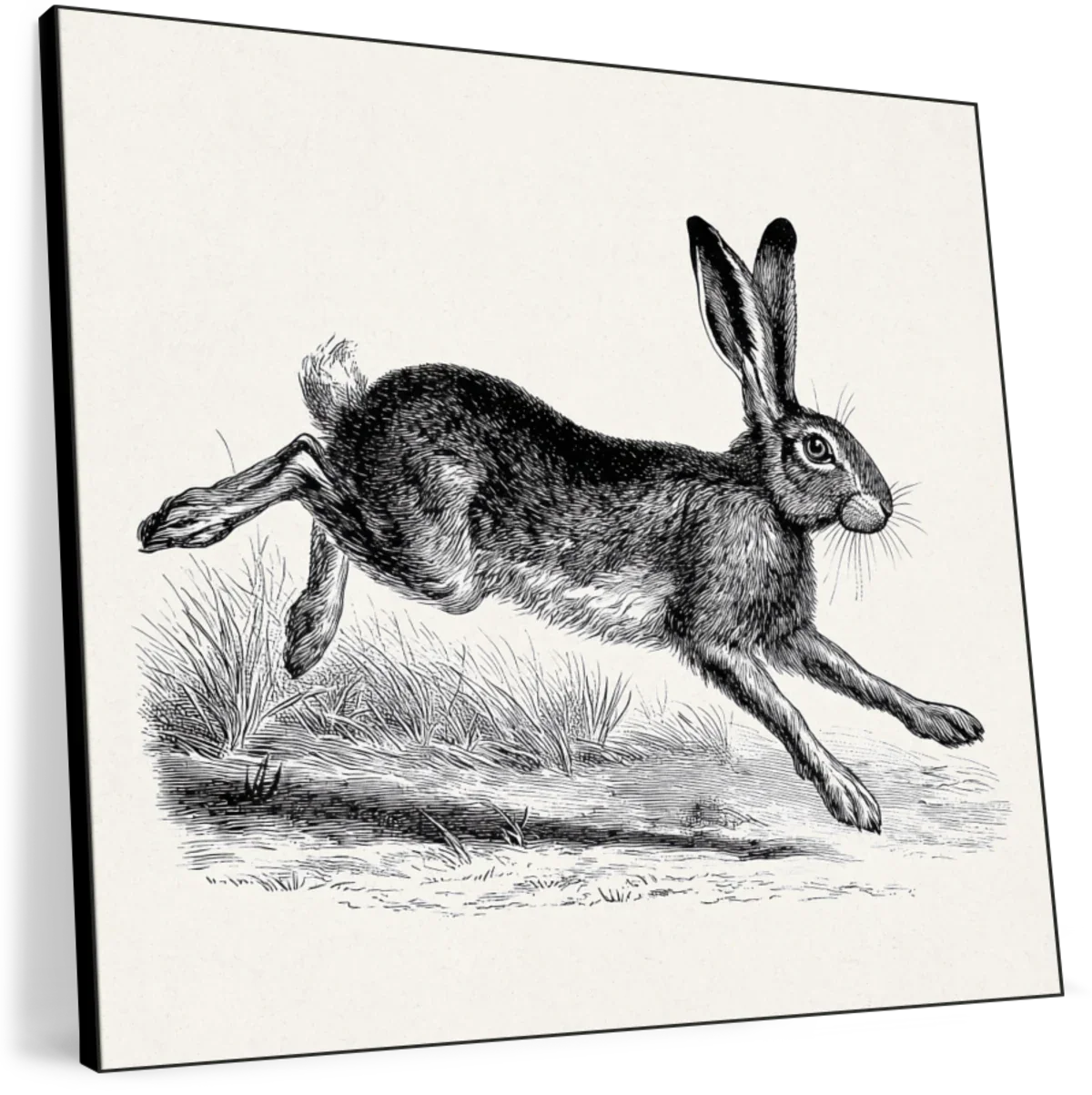 Running Hare Engraving Print Wall Art - Image 11