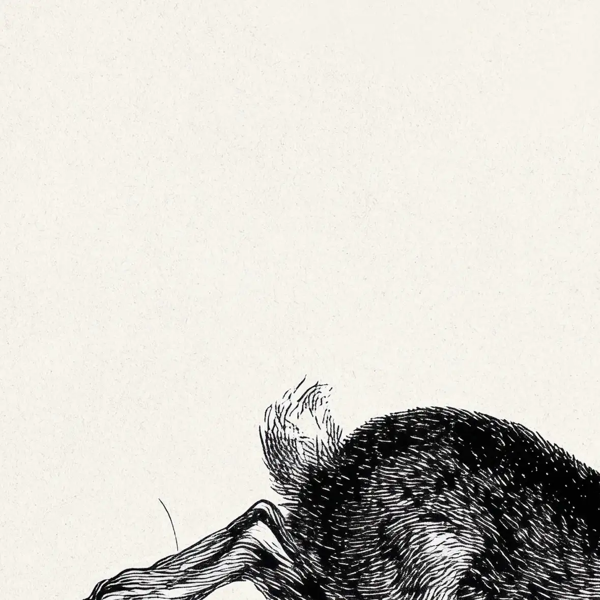 Running Hare Engraving Print Wall Art - Image 14