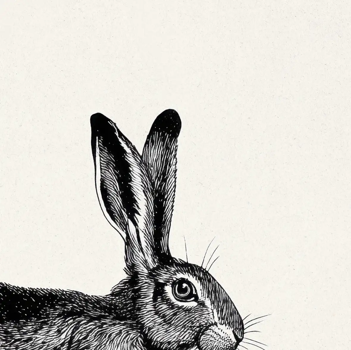 Running Hare Engraving Print Wall Art - Image 16