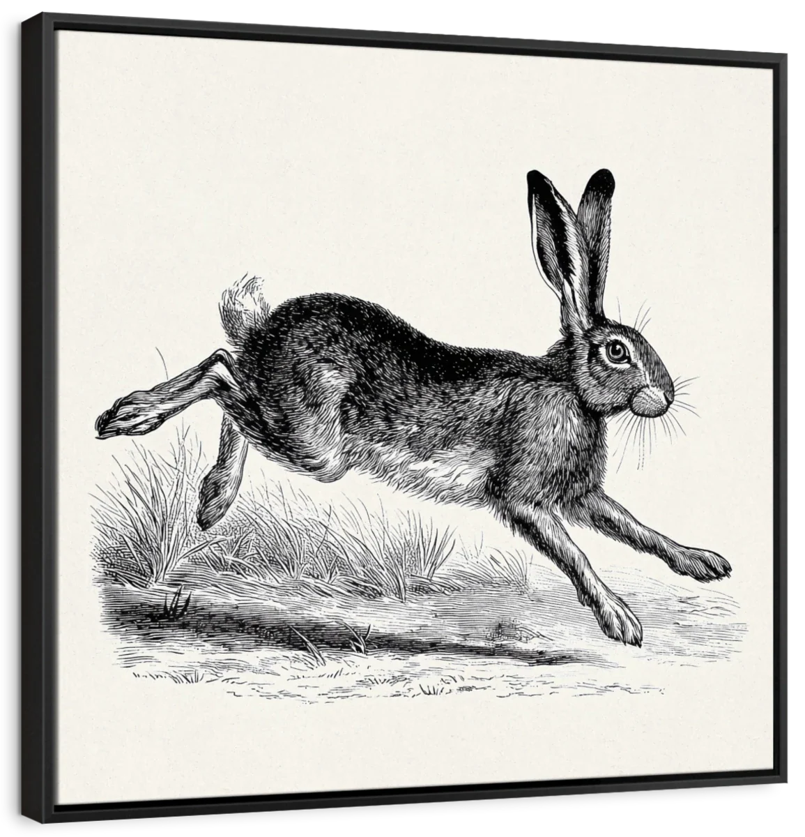 Running Hare Engraving Print Wall Art - Image 9