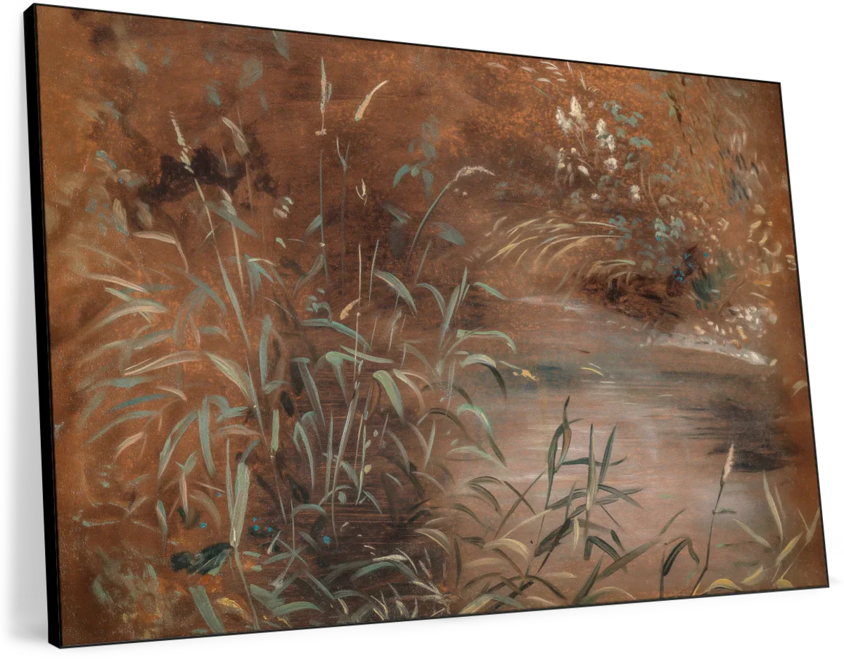 Rushes By A Pool Wall Art - Image 14
