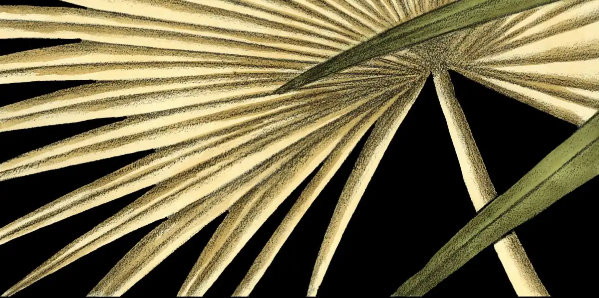 Rustic Tropical Leaves I Wall Art - Image 16