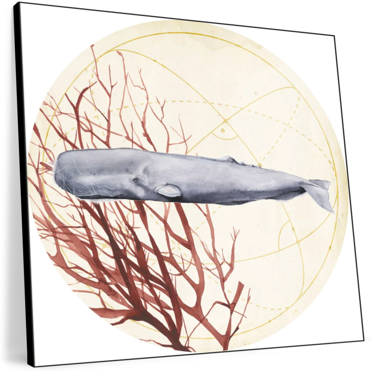 Sea Collection H Wall Art - Image 11