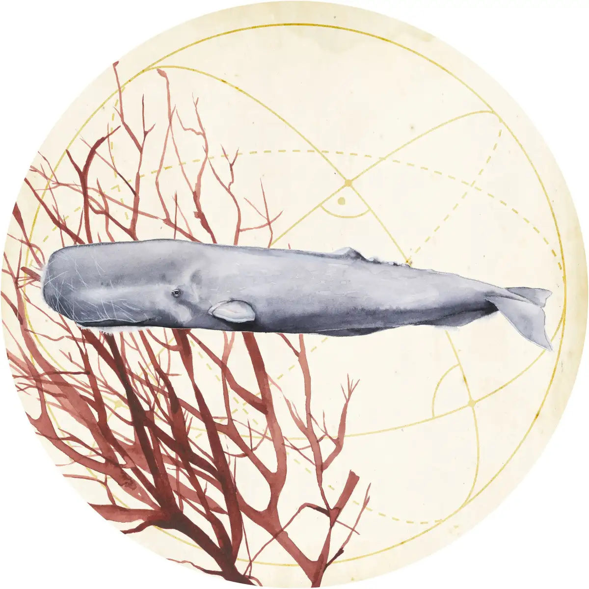 Sea Collection H Wall Art - Image 13