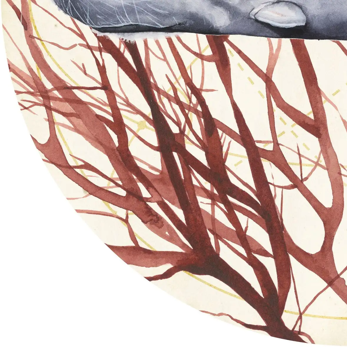 Sea Collection H Wall Art - Image 15