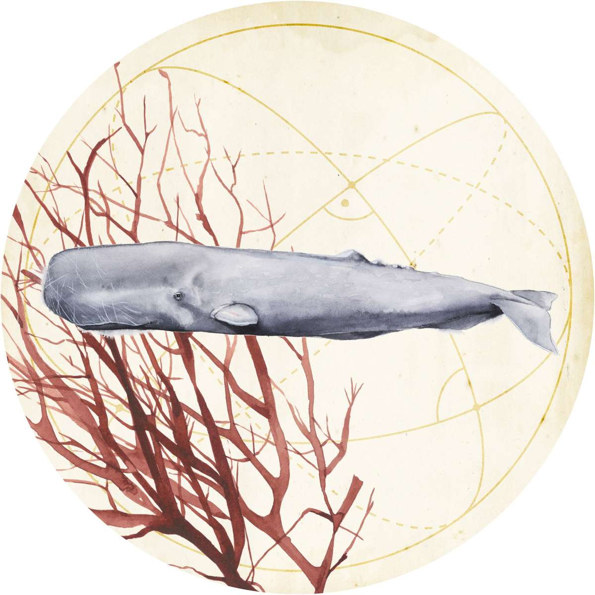 Sea Collection H Wall Art - Image 2