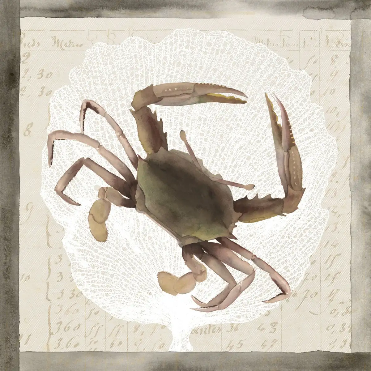Sea Creatures Collection E Wall Art - Image 12