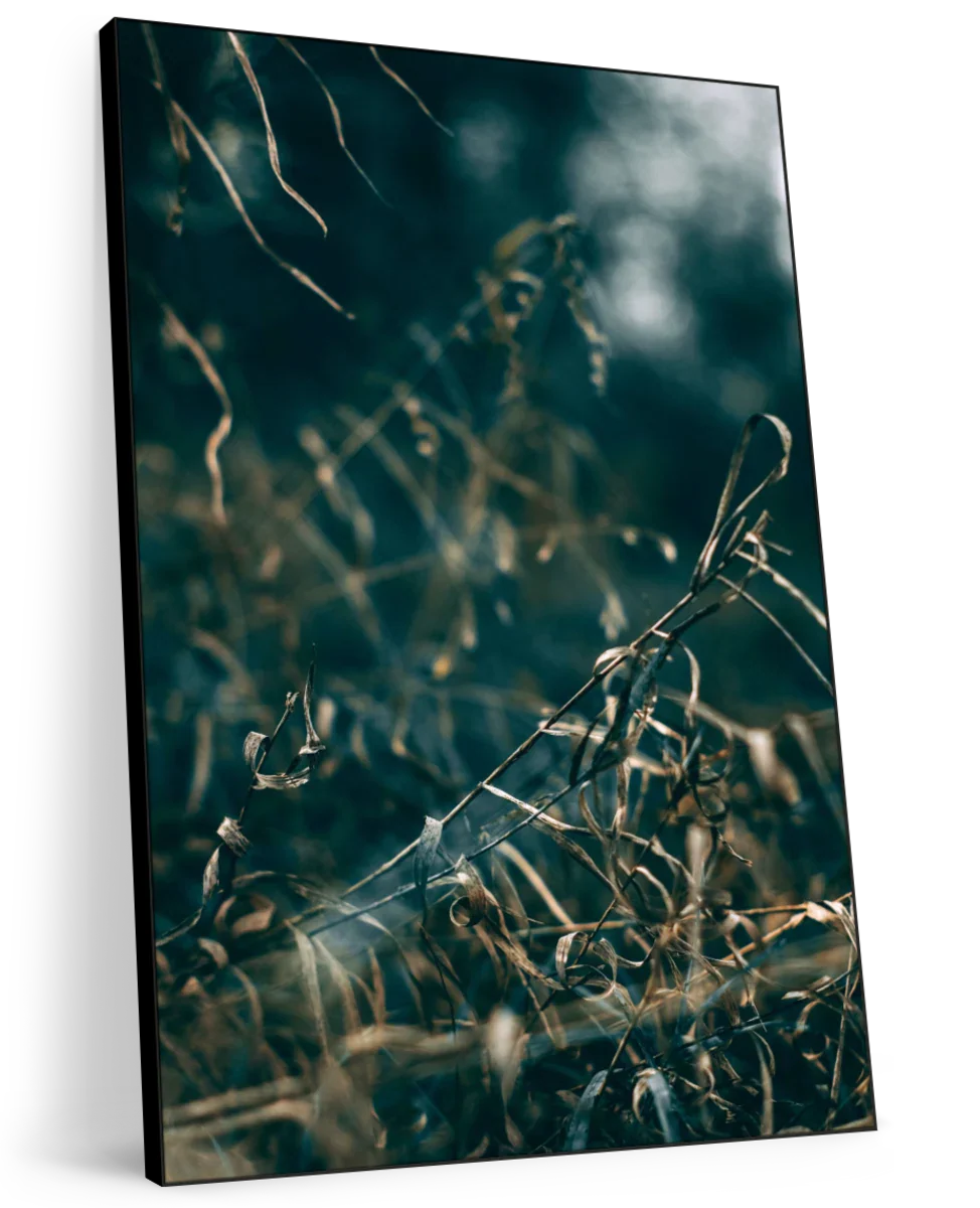 Secret V Wall Art - Image 11