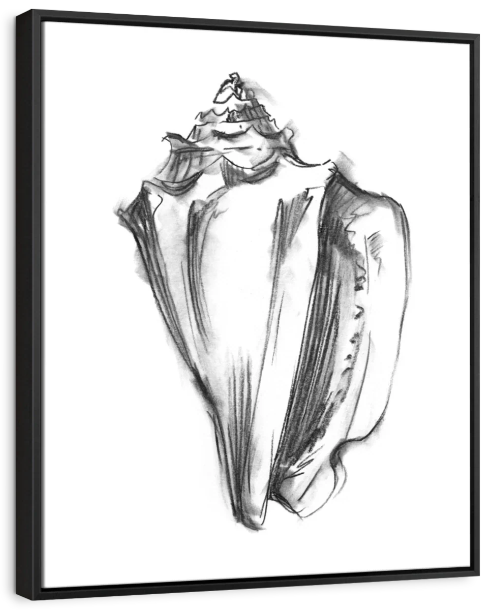 Shell Sketch I Wall Art - Image 6