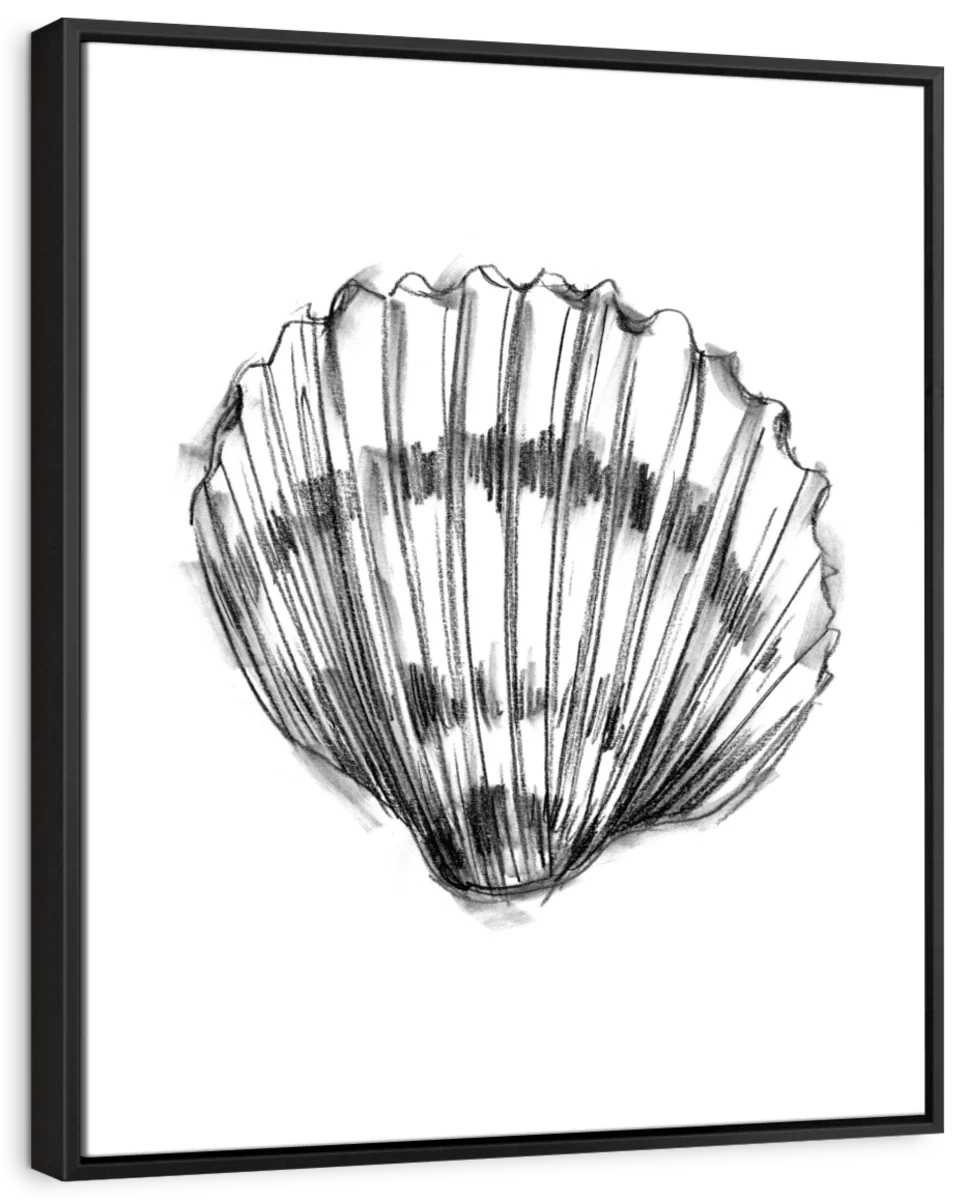Shell Sketch II Wall Art - Image 20