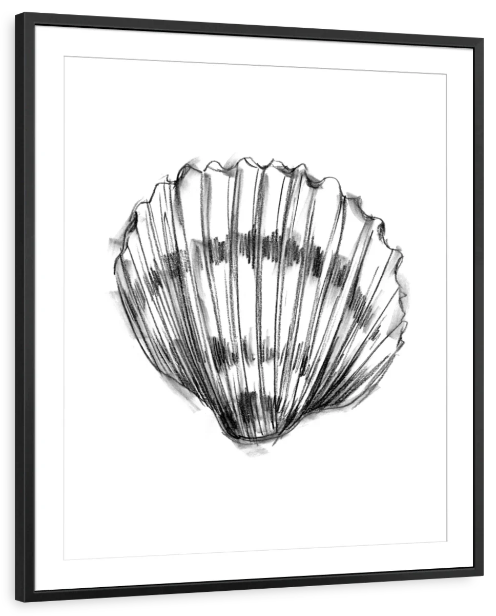 Shell Sketch II Wall Art - Image 21