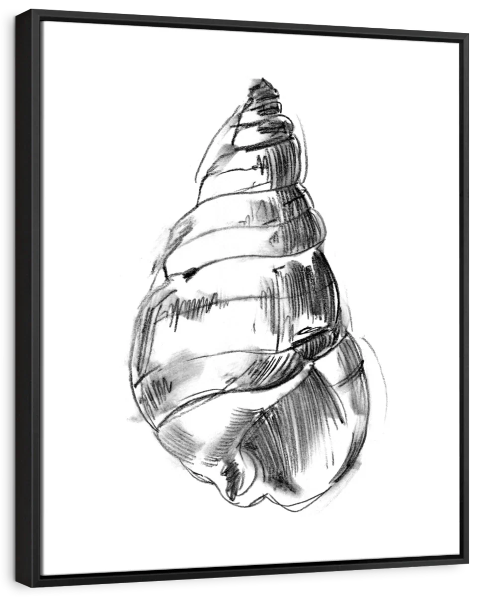 Shell Sketch III Wall Art - Image 7