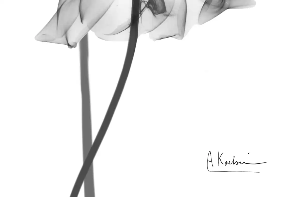 Silent Direction II Wall Art - Image 13