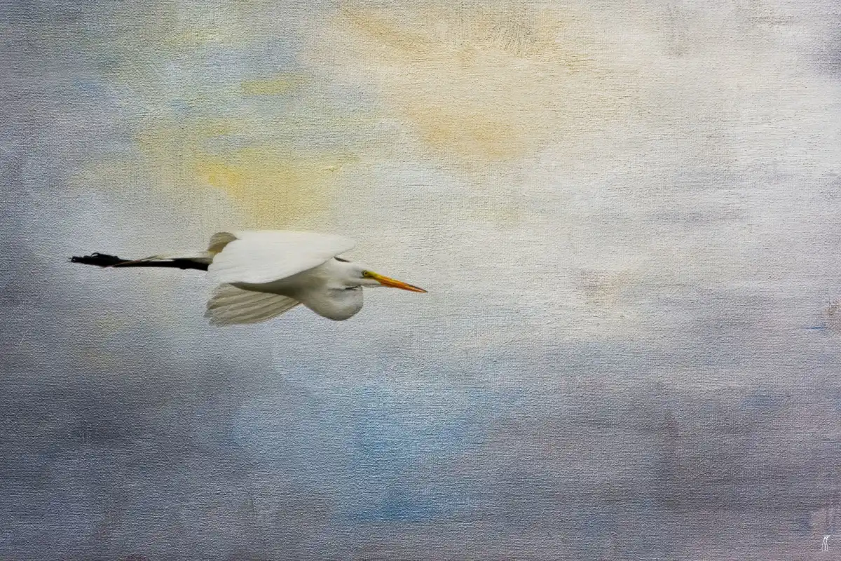 Silent Flight Great White Egret Wall Art - Image 9