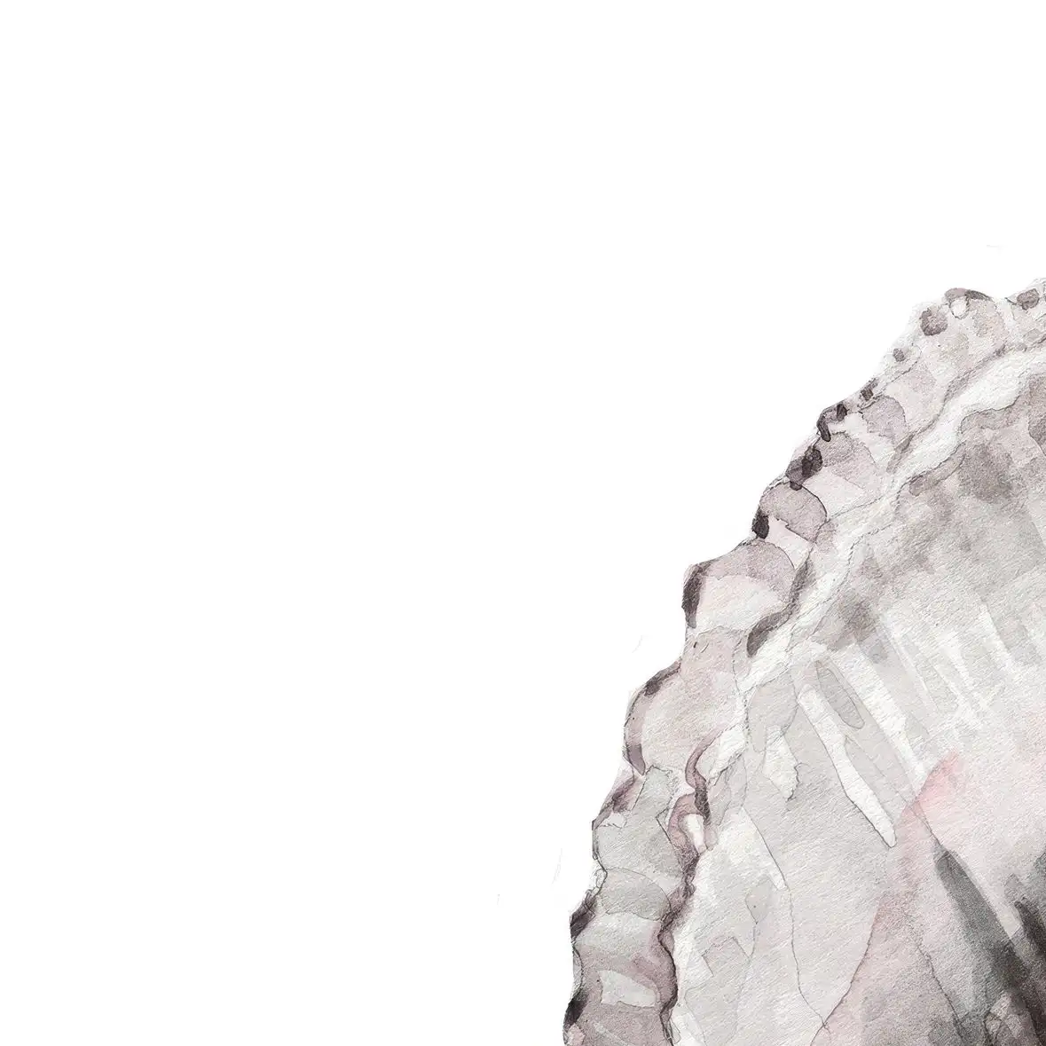 Simple Blush Shell II Wall Art - Image 14
