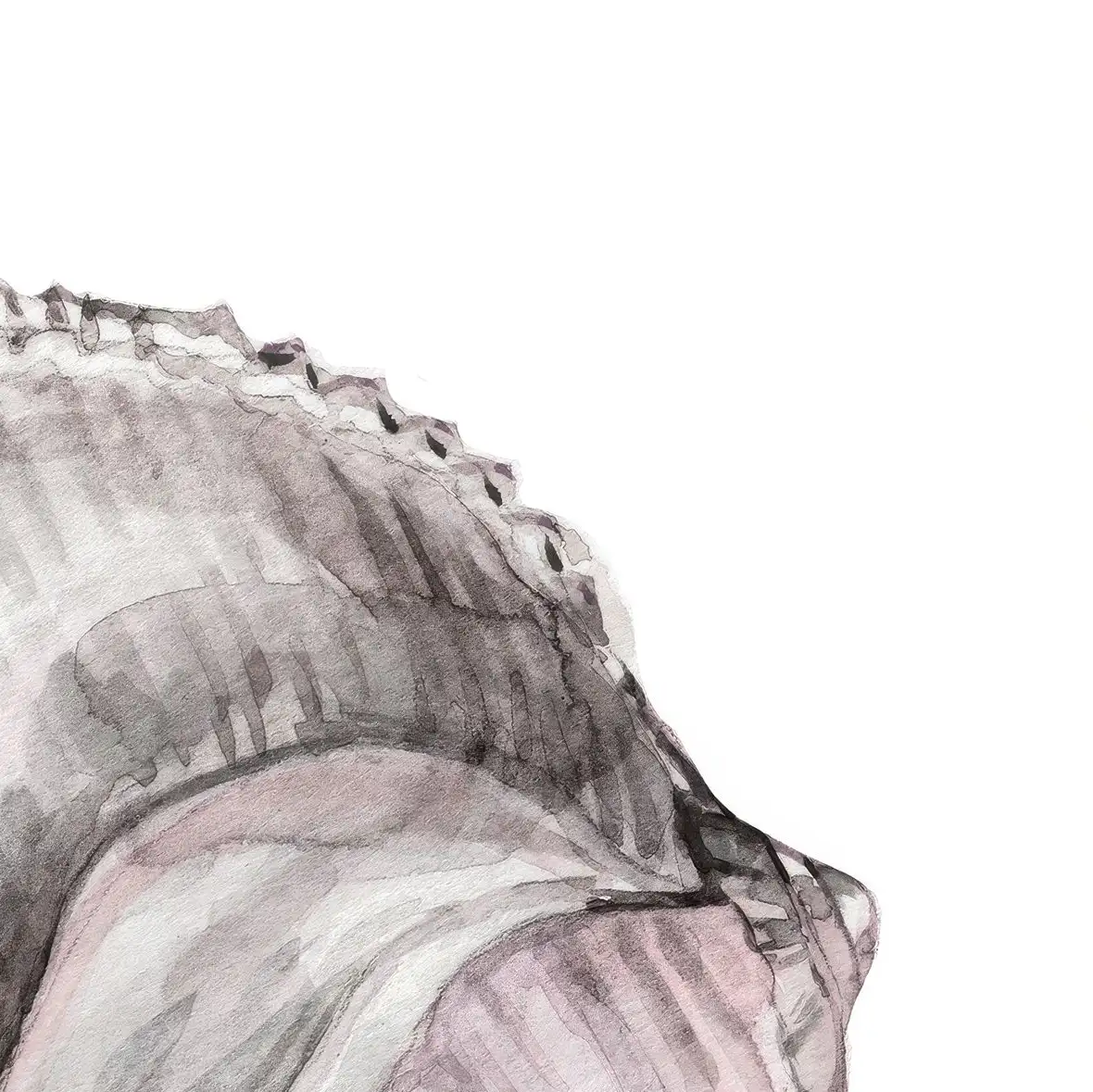 Simple Blush Shell II Wall Art - Image 16