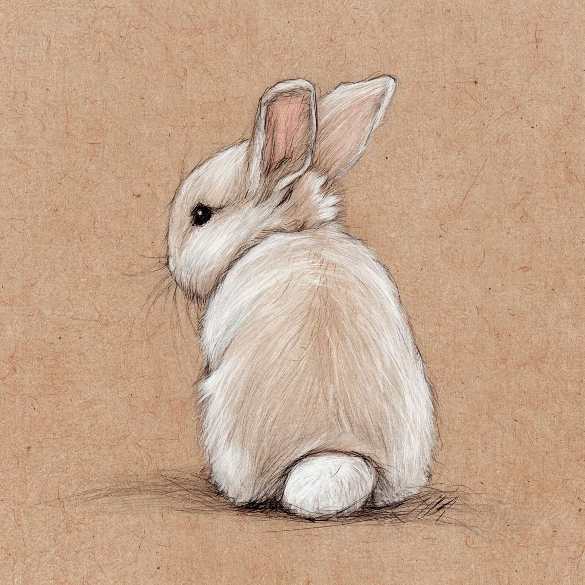 Single Bunny Sketch Wall Art - Image 2