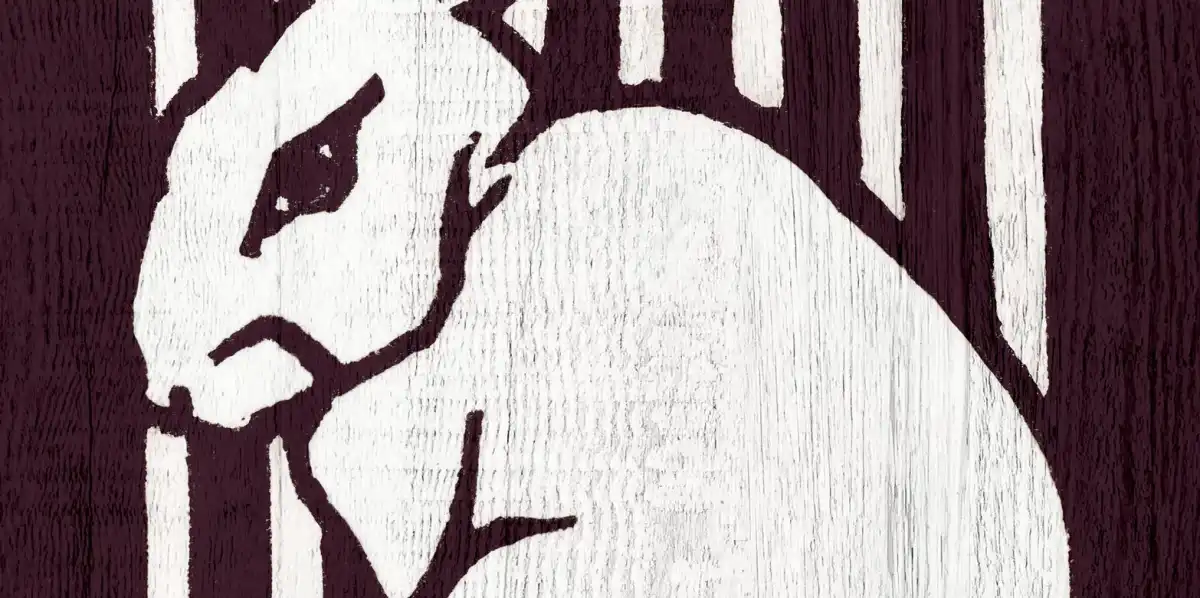 Sitting Rabbit Wall Art - Image 31