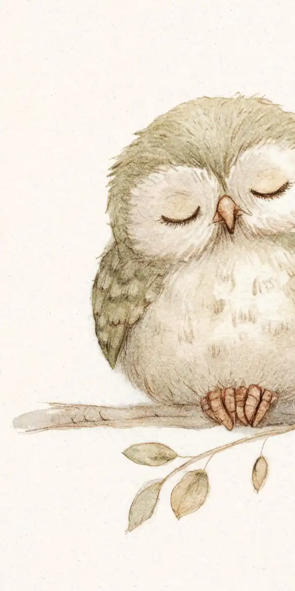 Sleeping Owl Trio Wall Art - Image 22
