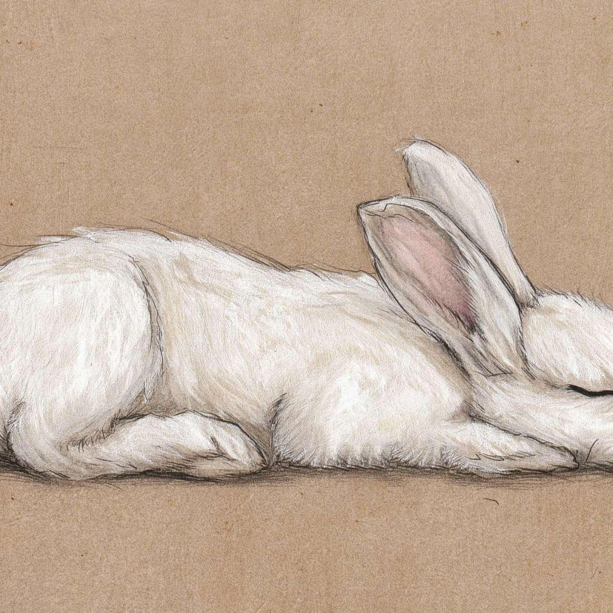 Sleeping White Rabbit Wall Art - Image 3