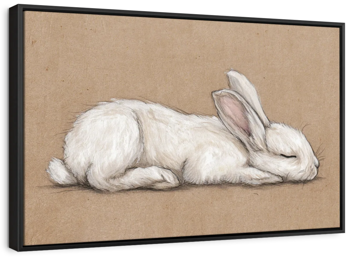 Sleeping White Rabbit Wall Art - Image 30