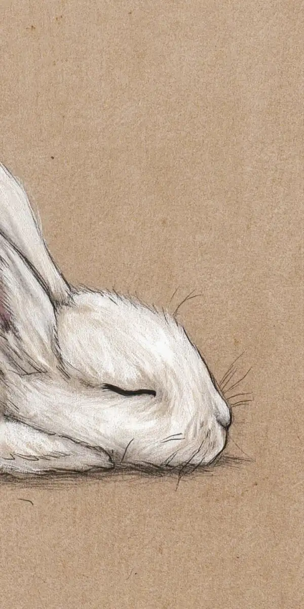 Sleeping White Rabbit Wall Art - Image 38