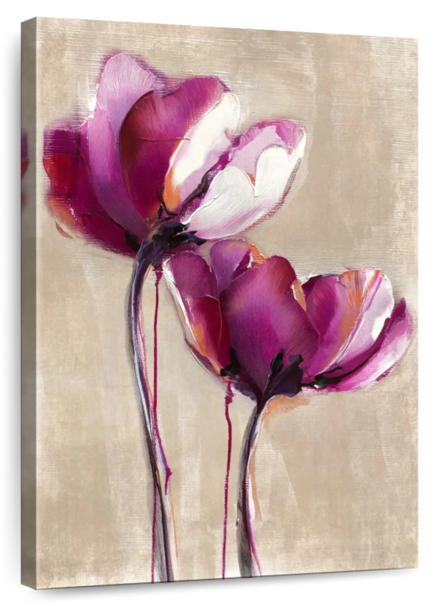 Soft Petal Blossoms Wall Art