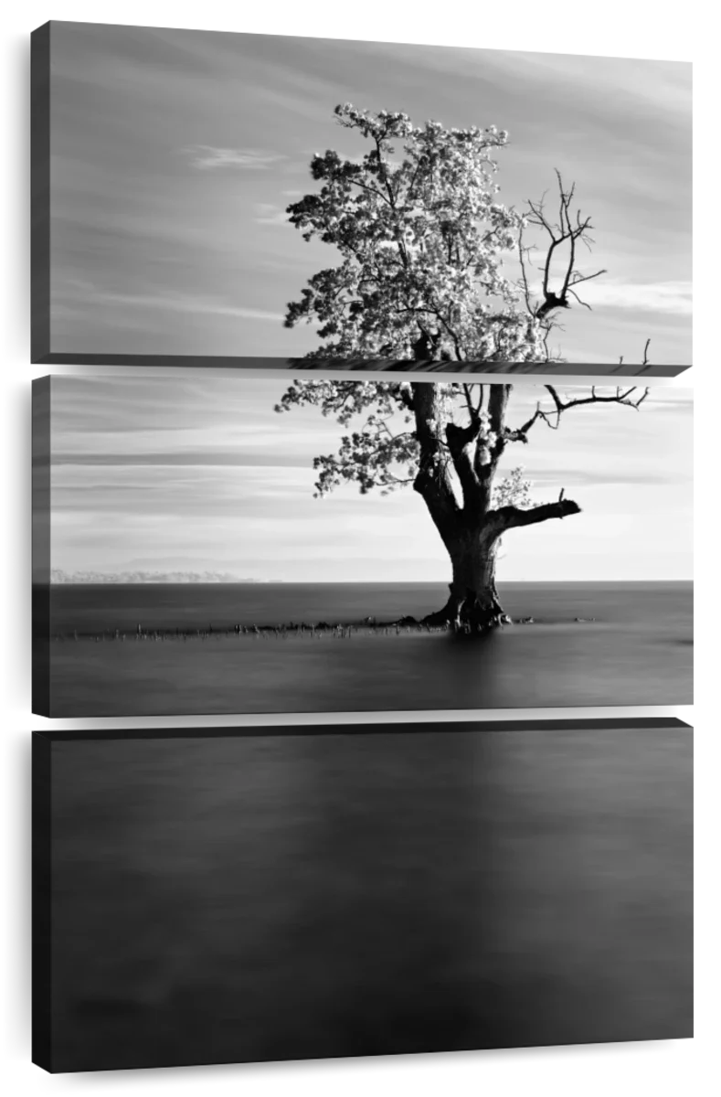 Solitude View Wall Art - Image 7