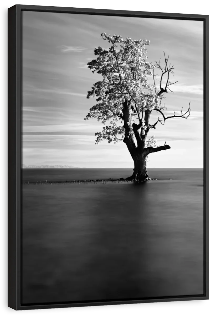 Solitude View Wall Art - Image 8