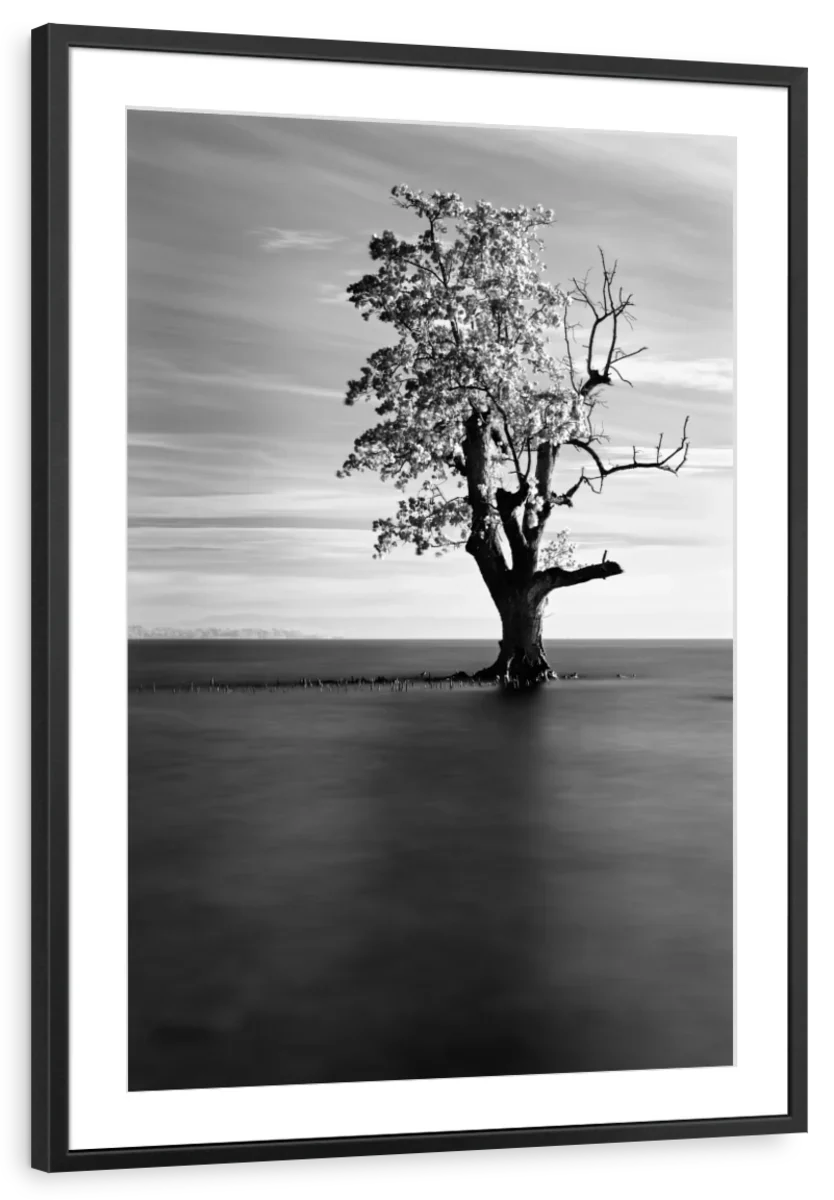 Solitude View Wall Art - Image 9
