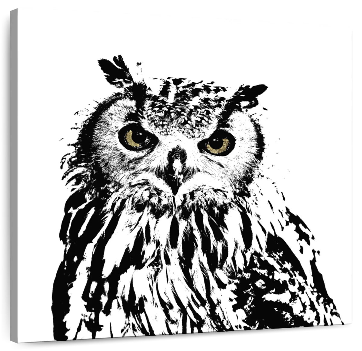 Spotted Owl Wall Art - Image 2
