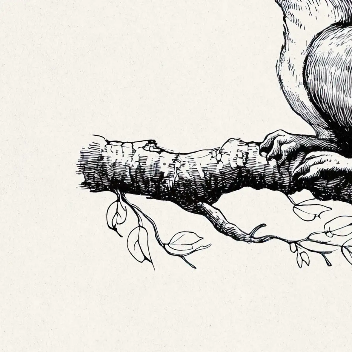 Squirrel on a Branch Engraving Wall Art - Image 15