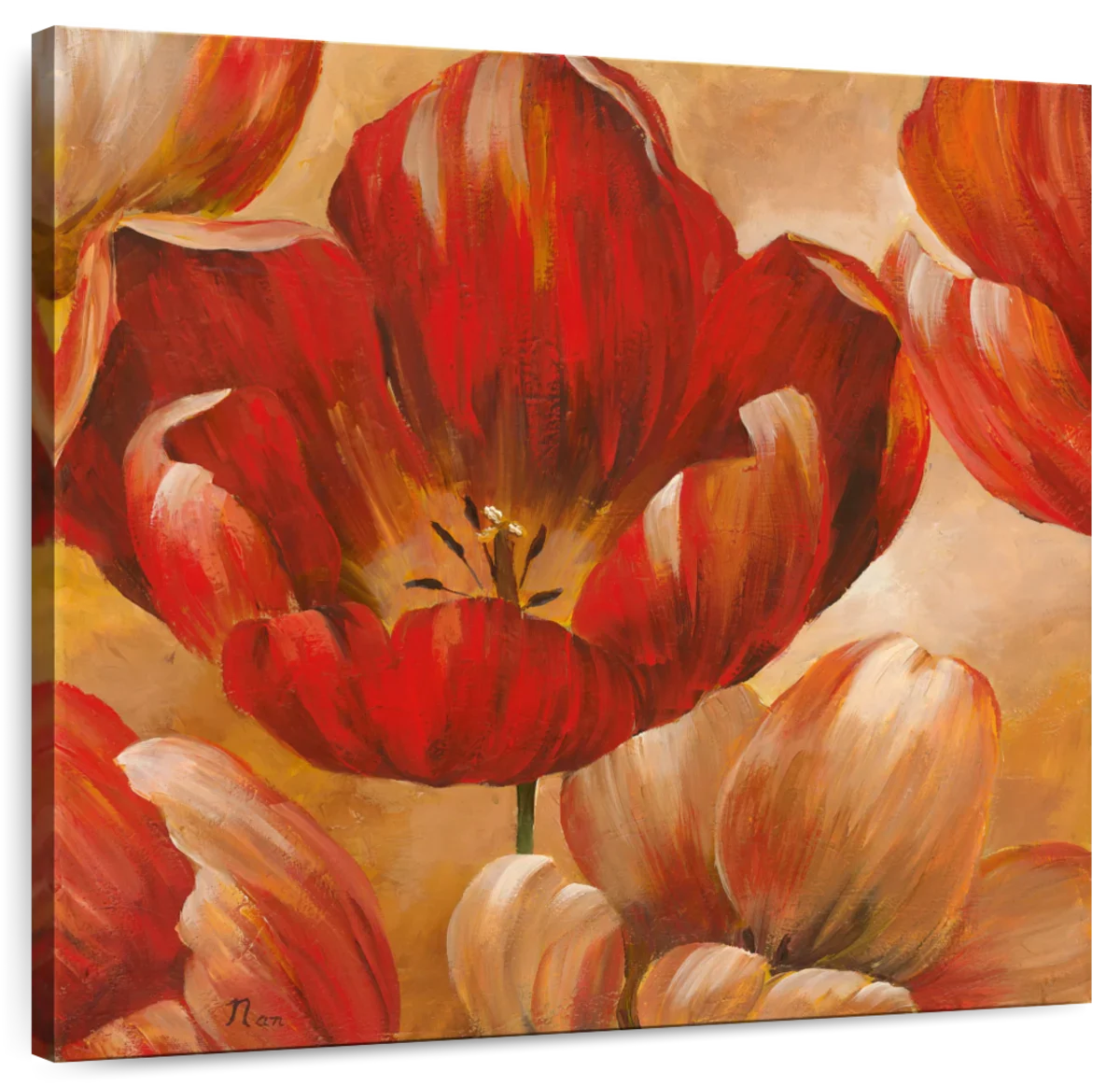 Sunlit Bloom I Wall Art