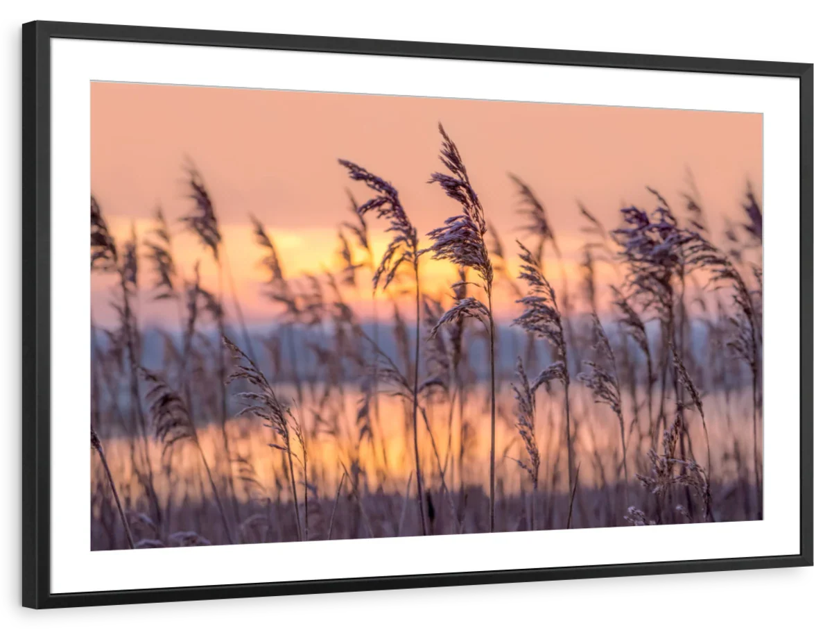 Sunset Reeds Wall Art - Image 14
