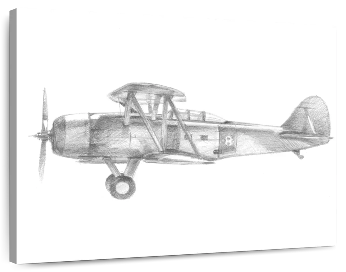 Technical Flight IV Wall Art
