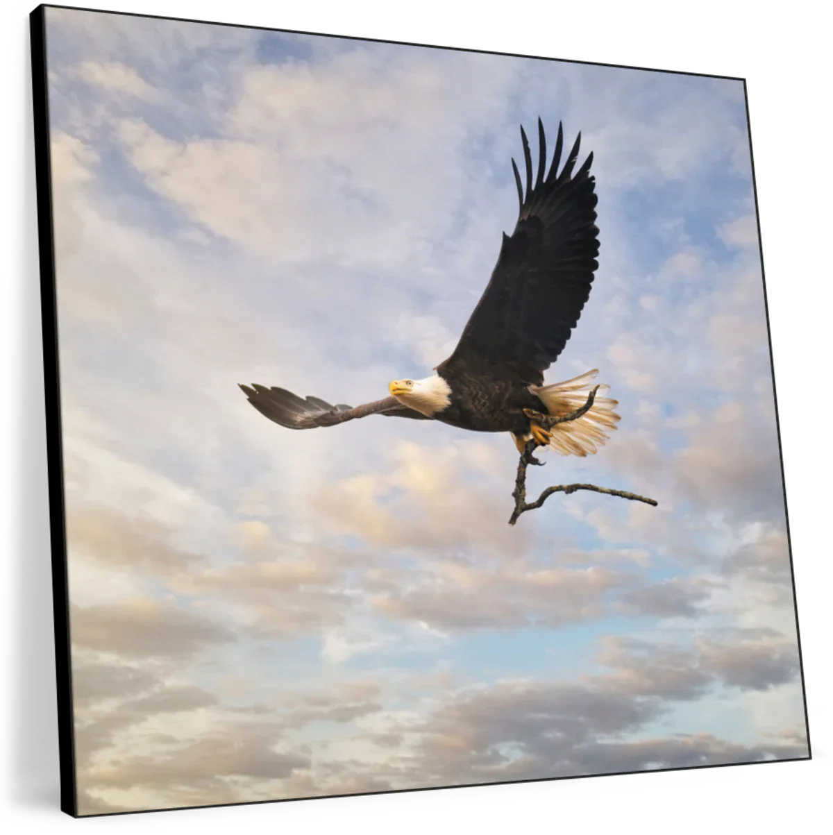 The Master Builder Wall Art - Image 8