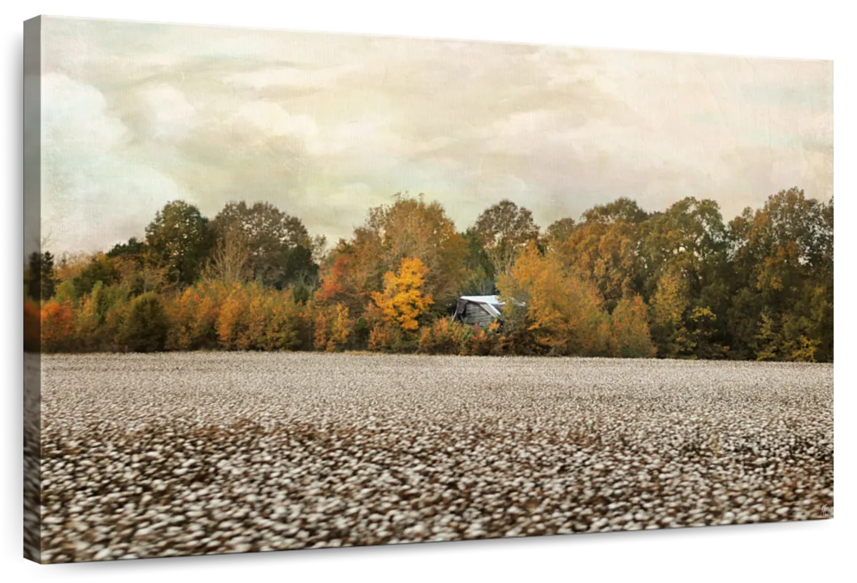 The Old Cotton Barn Wall Art
