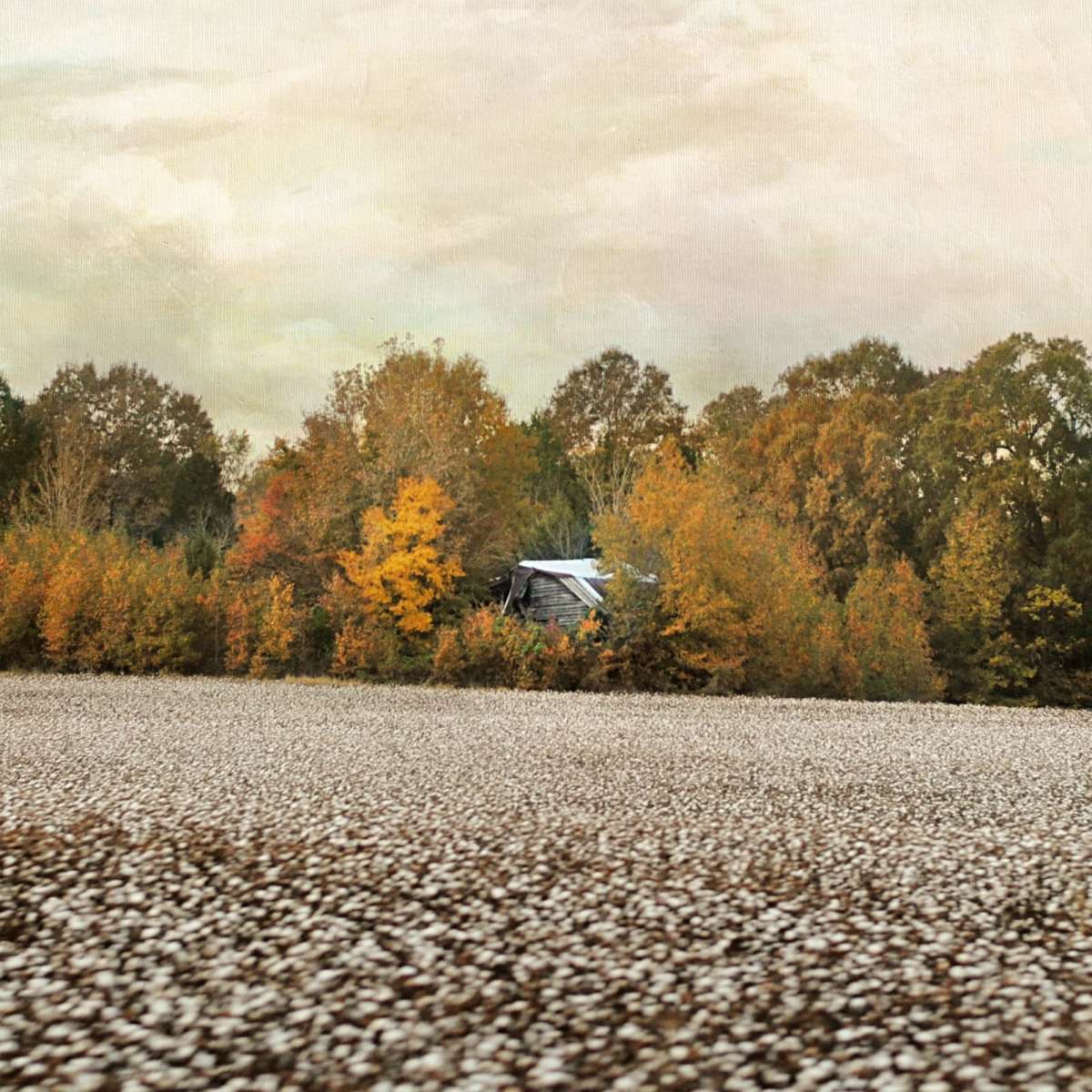 The Old Cotton Barn Wall Art - Image 20