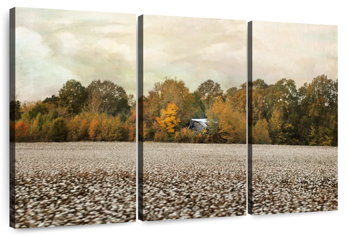 The Old Cotton Barn Wall Art - Image 9
