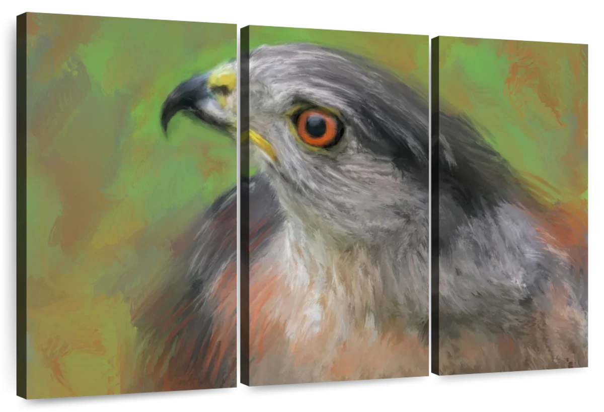 The Sharp Shinned Hawk Wall Art - Image 9