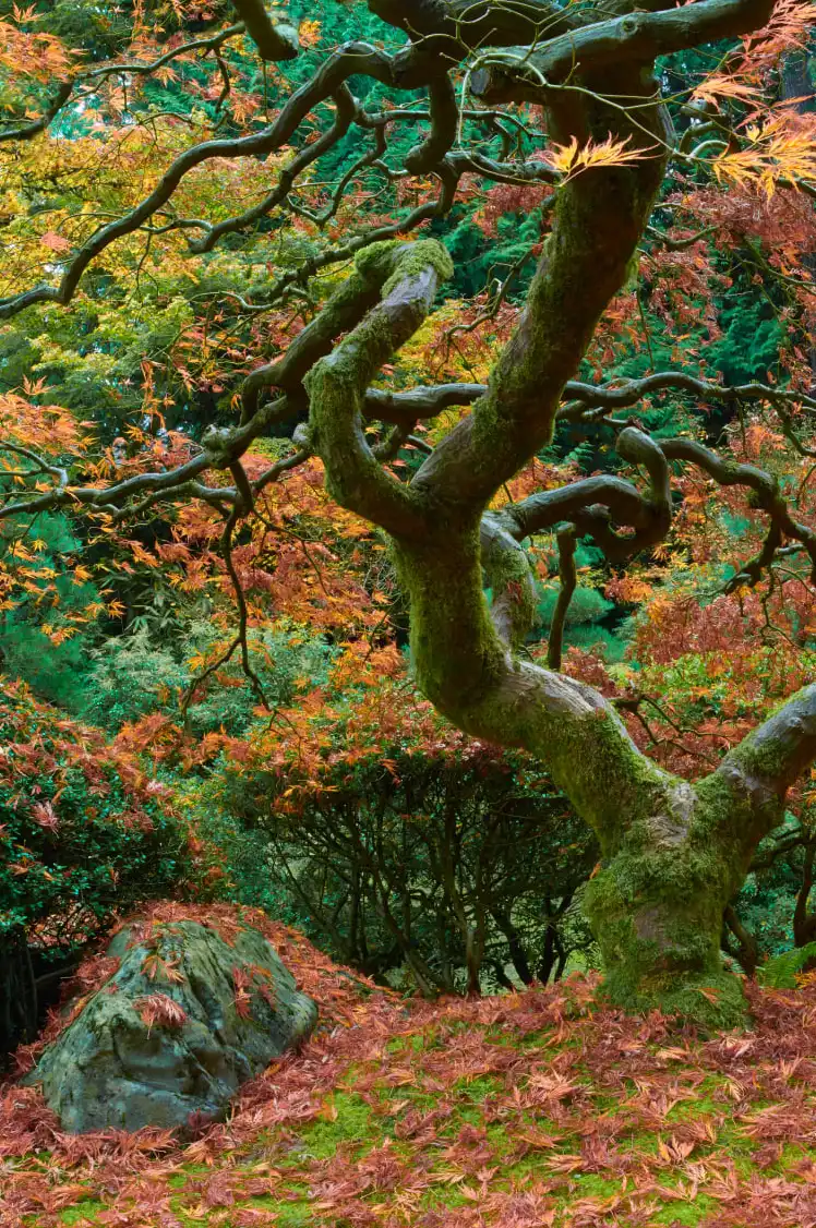The Tree Final Wall Art - Image 15