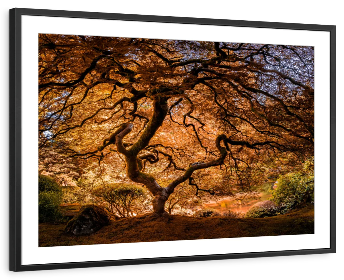 The Tree No. 3 Wall Art - Image 12