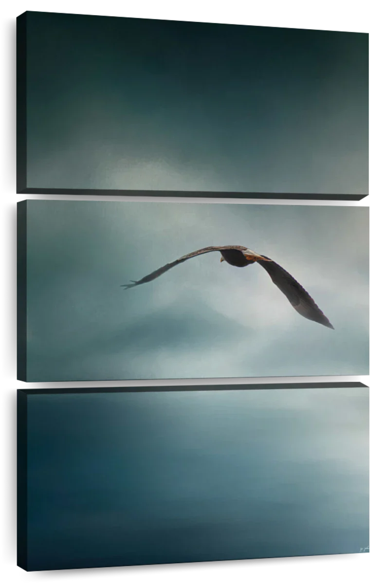 Through The Rolling Storm Bald Eagle Wall Art - Image 7
