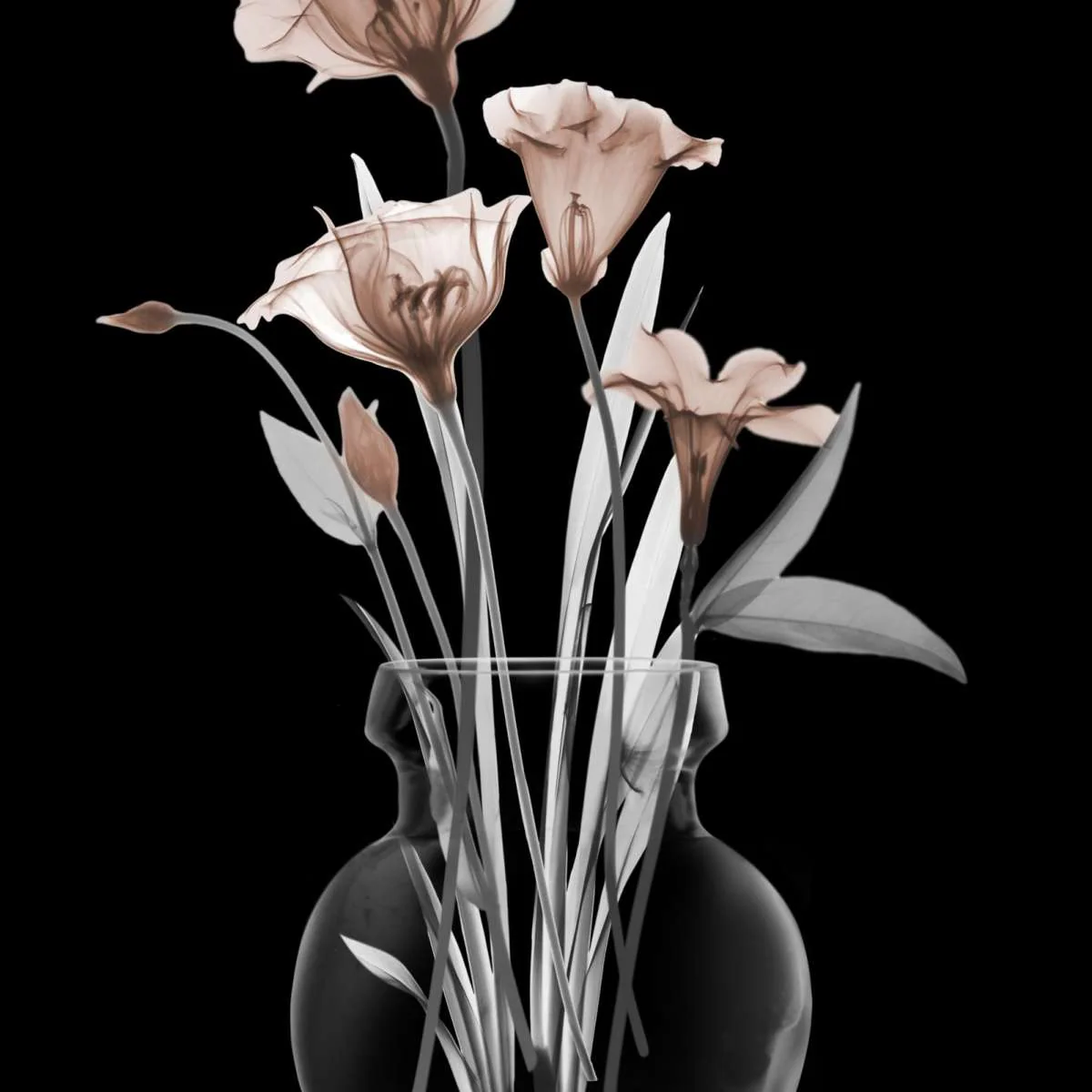 Thundering Mocha Wall Art - Image 16