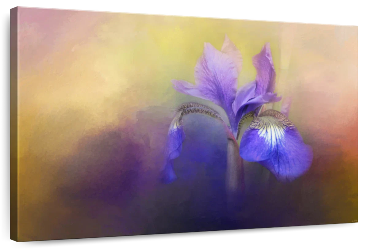 Tiny Iris Wall Art
